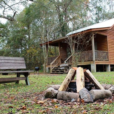 Bed and Breakfast Berry Creek Cabins à Isabel Extérieur photo