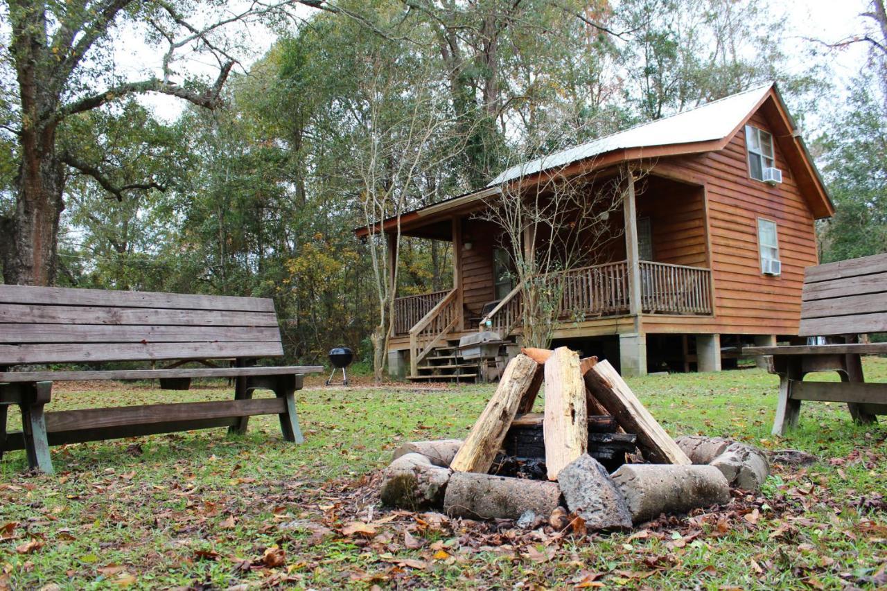 Bed and Breakfast Berry Creek Cabins à Isabel Extérieur photo