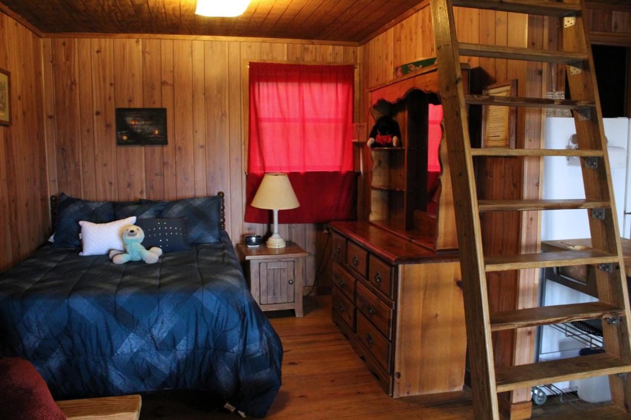 Bed and Breakfast Berry Creek Cabins à Isabel Extérieur photo