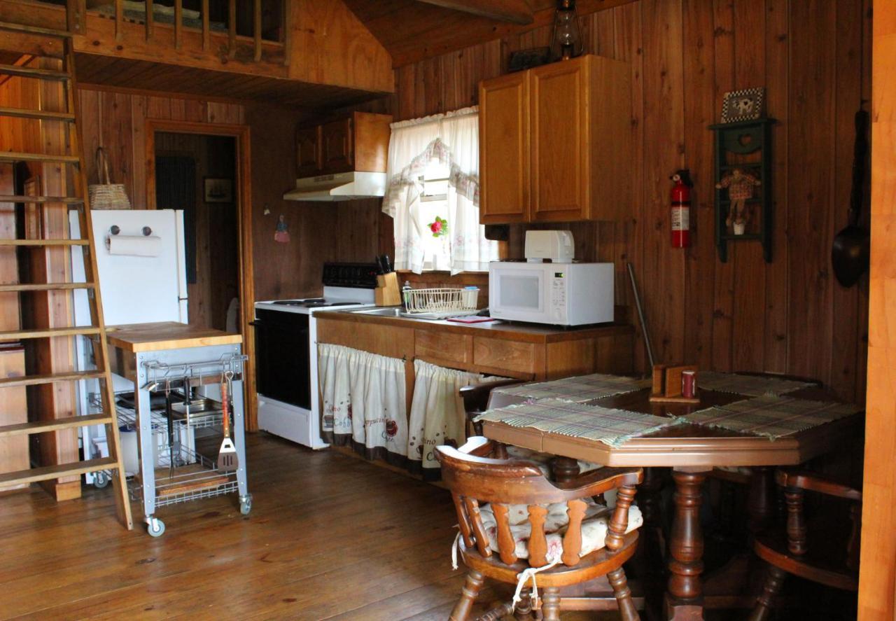 Bed and Breakfast Berry Creek Cabins à Isabel Extérieur photo