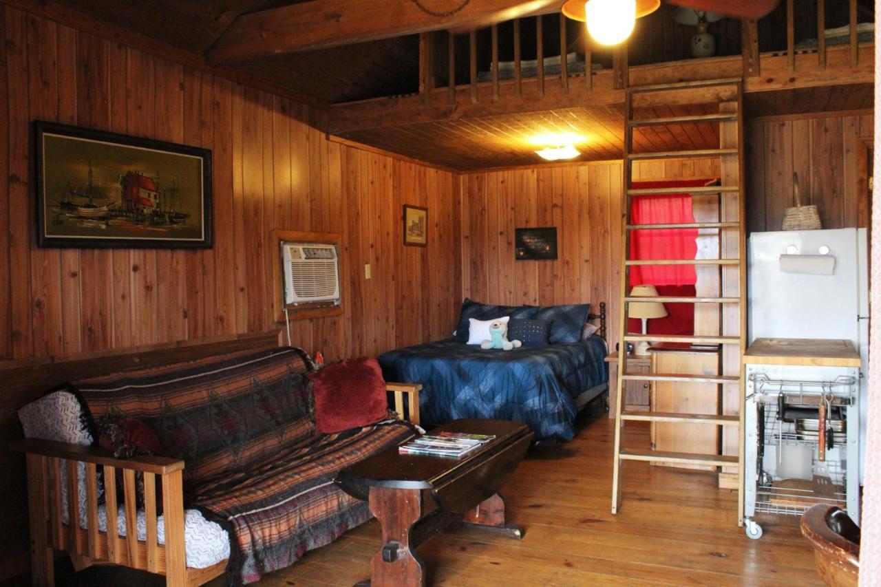 Bed and Breakfast Berry Creek Cabins à Isabel Extérieur photo