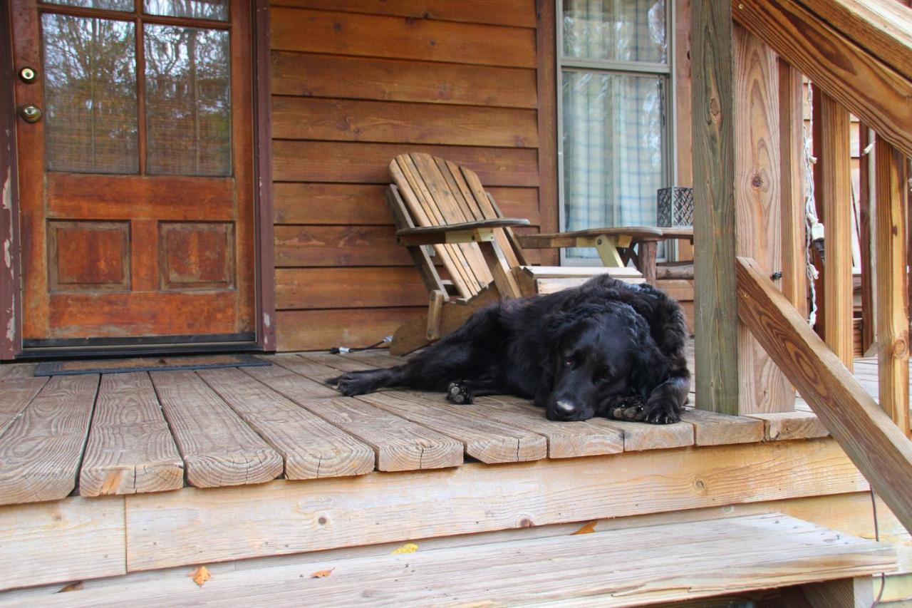 Bed and Breakfast Berry Creek Cabins à Isabel Extérieur photo